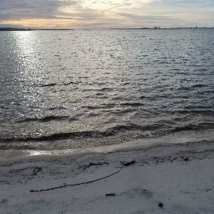 Meet your Posher, Alexander